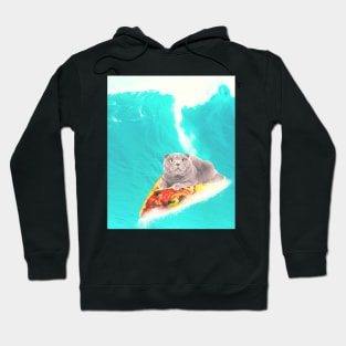 Kitty Cat Surfing Taco Hoodie